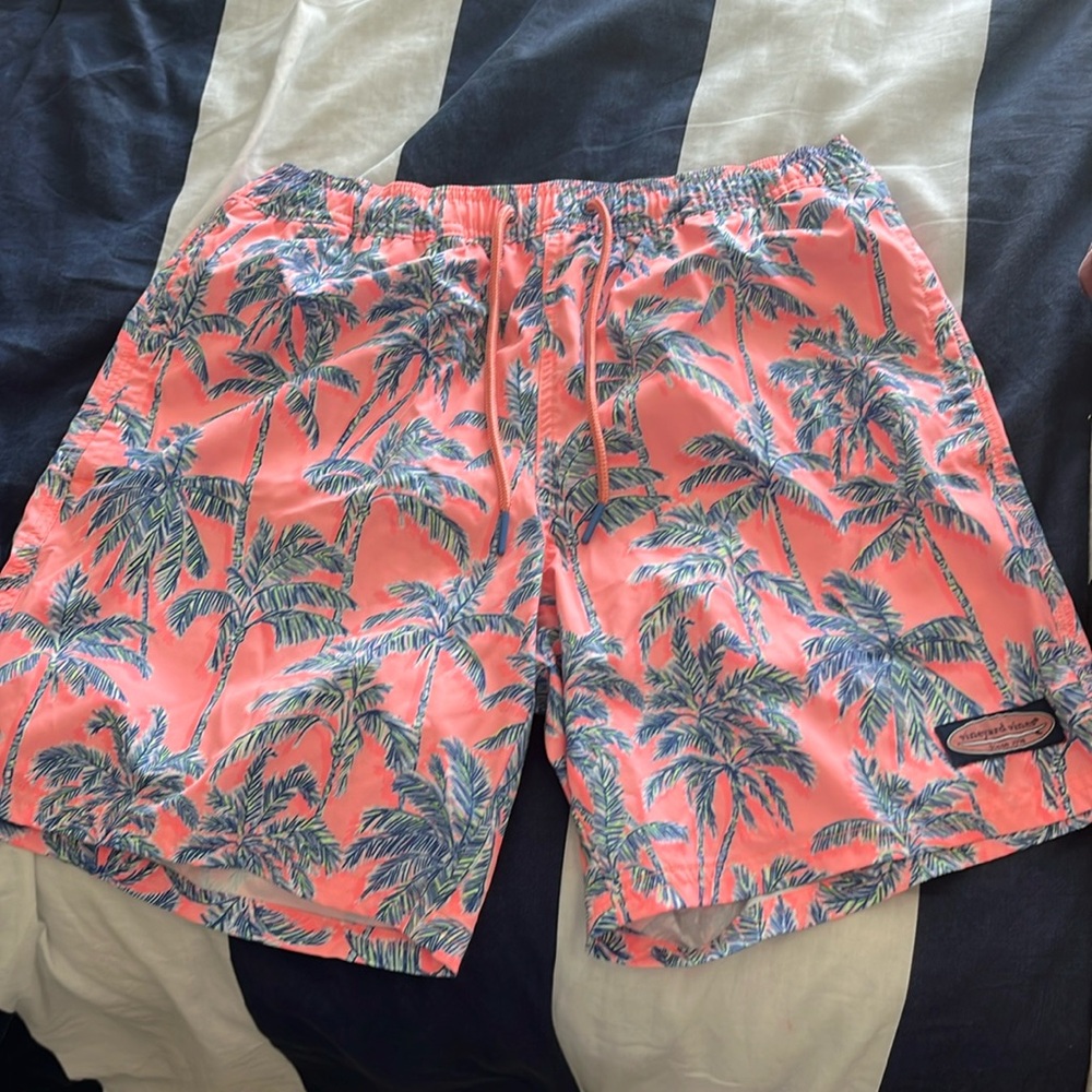Mens vinyard vines bathing suit